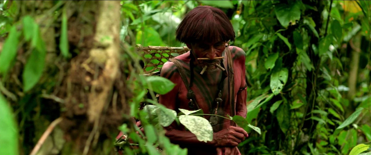 Green Inferno (2013) movie still: medium — A dense, humid tropical jungle environment with lush green foliage and tangled tree trunks. An indigenous…