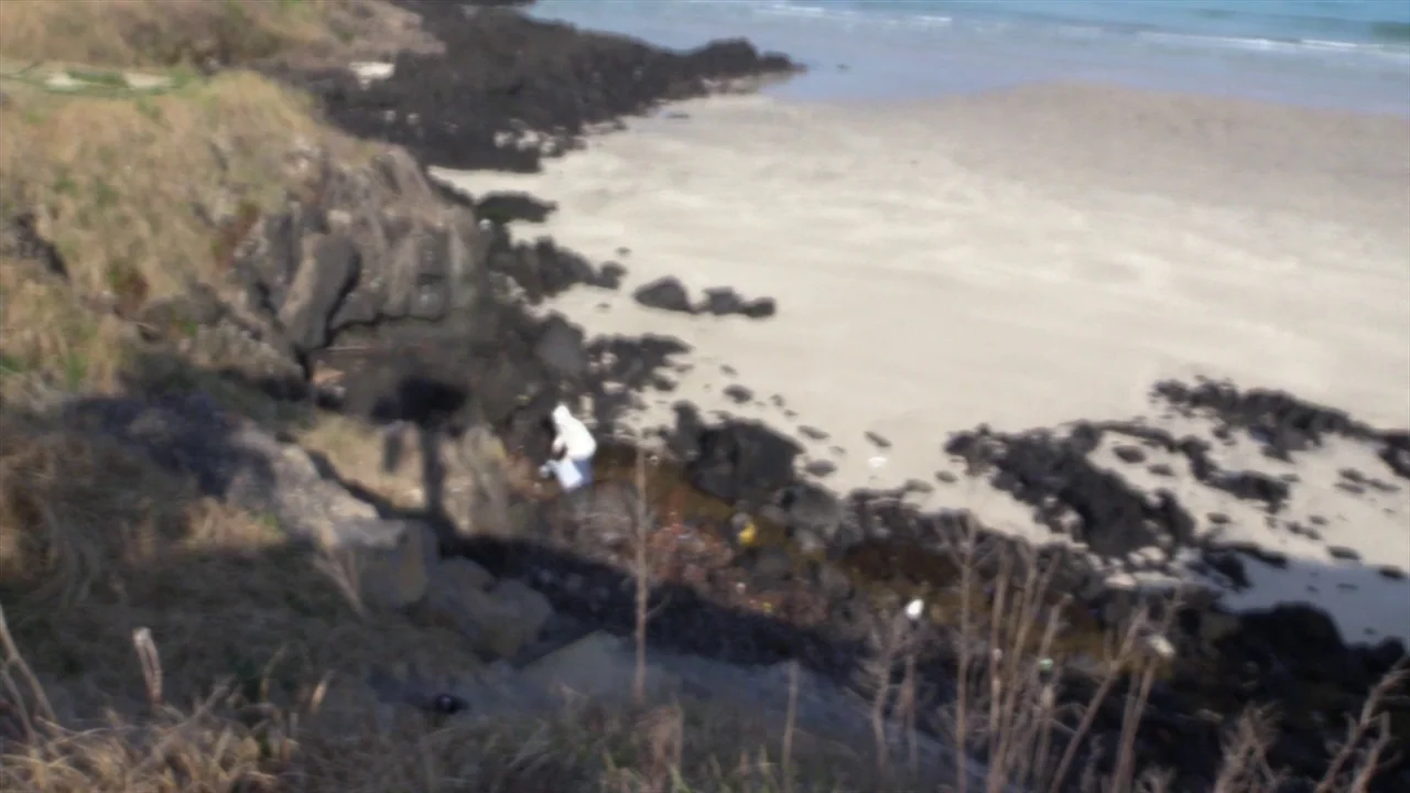 In Water (2023) movie still: wide — A rugged coastline features jagged black volcanic rocks meeting a light sandy beach. The ocean surf hits the…