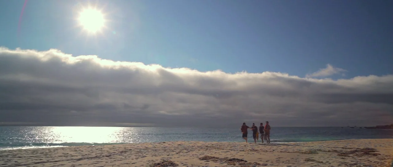 I Melt With You (2011) movie still: wide — A wide sandy shore meets the ocean under a blue sky with horizontal clouds. Four people walk together in…