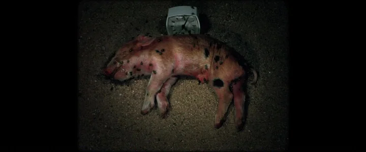 To Dust - Nightmares (2018) movie still: closeup — A small spotted piglet lies on sandy soil beside a vintage white alarm clock. Several flies…