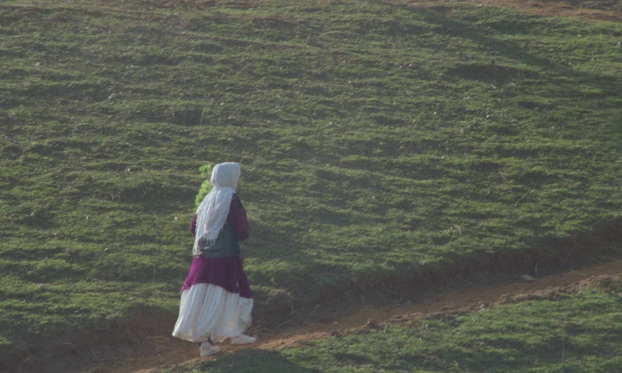 Through The Olive Trees (1994) movie still: wide — A vast, sloped grassy hill with a narrow dirt path running across it. A woman in a…