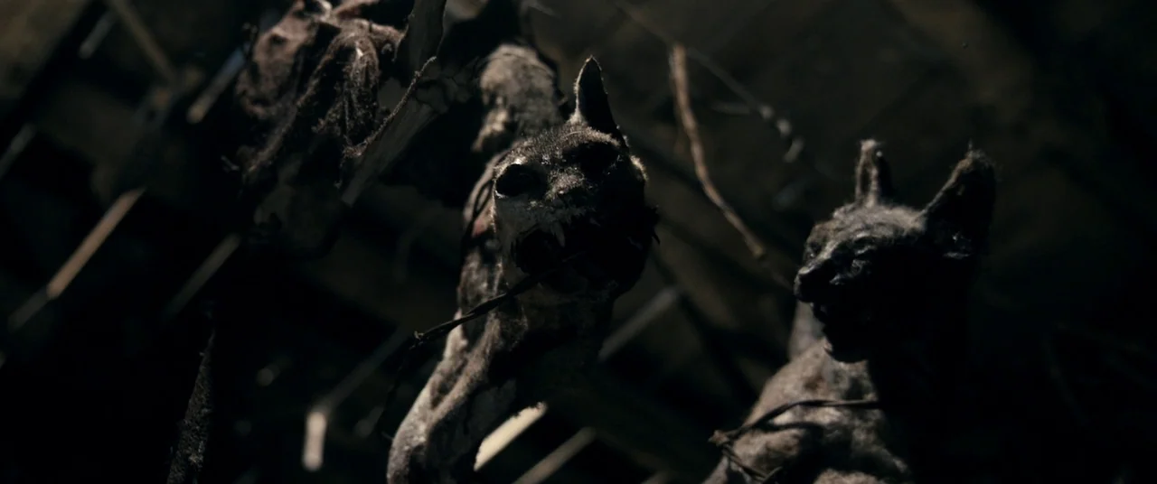 Evil Dead (2013) movie still: closeup — Several desiccated, mummified feline carcasses are suspended from wires in a dark, confined area. These…
