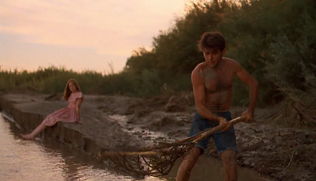Badlands (1973) movie still: medium — A rural riverbank at golden hour features a muddy embankment with tall green reeds. A young man stands in…