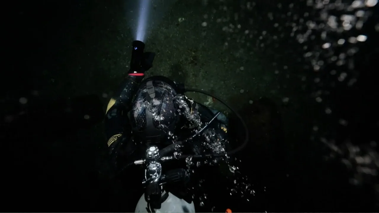 Alien Sharks: Ghosts of Japan (2024) movie still: medium — A dark, murky environment located deep underwater with bubbles floating around the…