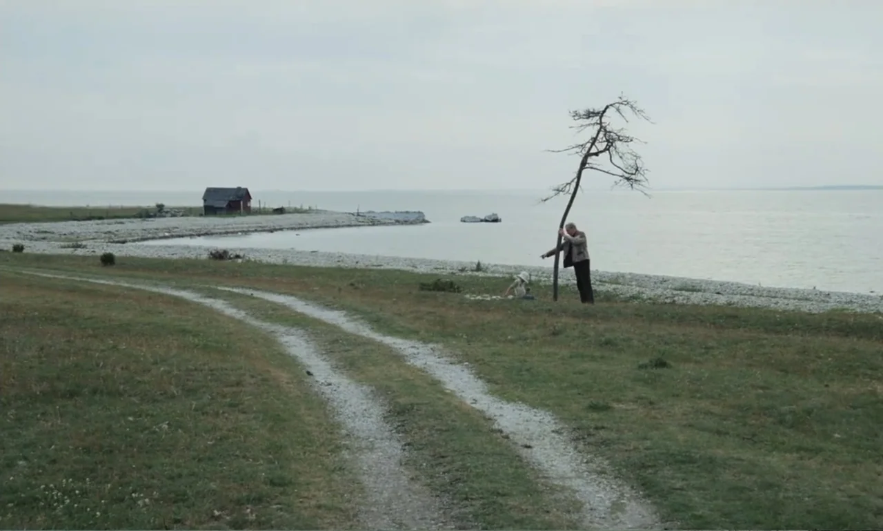 The Sacrifice (2015) movie still: wide — A desolate coastal landscape features a dirt path, a sparse tree, and a distant house. An elderly man…
