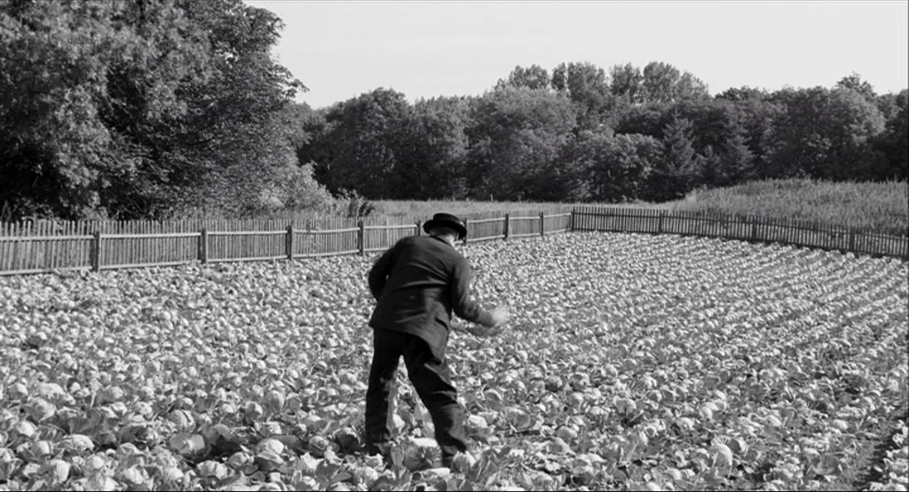 The White Ribbon (2009) movie still: wide — A rural cabbage patch bordered by a wooden fence and dense forest. An older man in a suit bends down to…