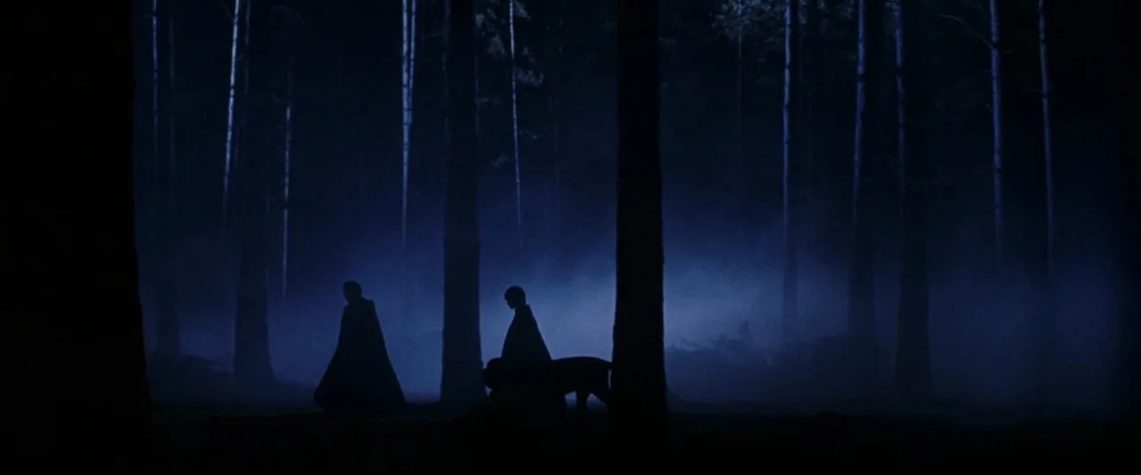 Harry Potter and the Philosopher's Stone (2001) movie still: wide — A dense forest at night is filled with thick ground-level blue fog. Two figures…