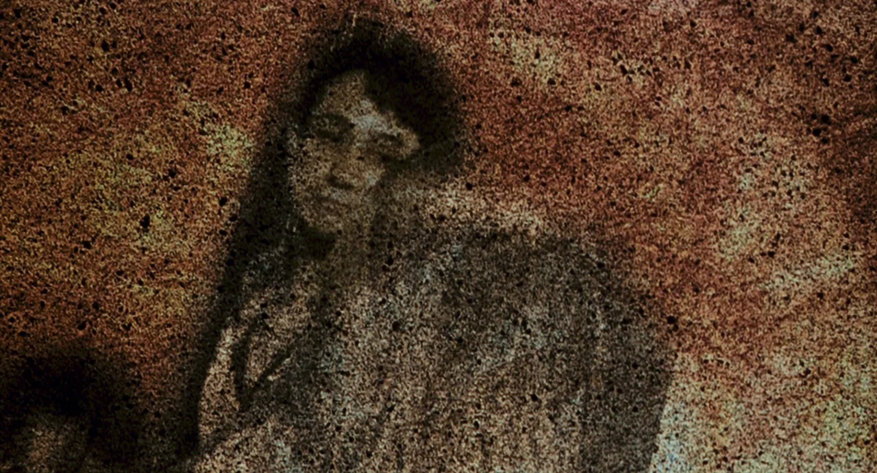 Ichi The Killer (2001) movie still: closeup — A grainy, textured surface obscures the features of a human face in portrait orientation. The subject…