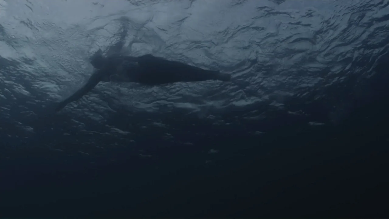 Capsized: Blood in the Water (2019) movie still: wide — The deep blue water is seen from below looking up at the surface. A lone swimmer moves…