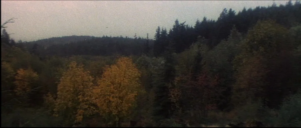 McCabe & Mrs.Miller (1971) movie still: establishing — A dense forest under a gray overcast sky with visible autumn color changes. Coniferous and…