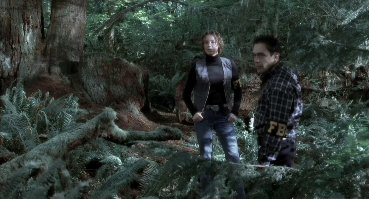 The Hunted (2003) movie still: fullbody — A dense green woodland area features thick moss, tall trees, and abundant ferns. Two federal agents…