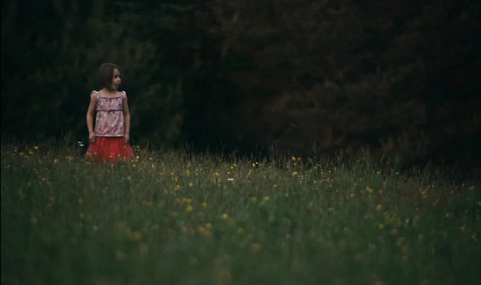 Blue Valentine (2010) movie still: wide — A field of tall wild grass with small yellow flowers under an overcast sky. A young girl stands alone in…