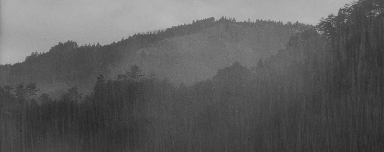 The Hidden Fortress (1958) movie still: establishing — A dense coniferous mountain forest is partially obscured by a thick, low-hanging fog. Heavy…