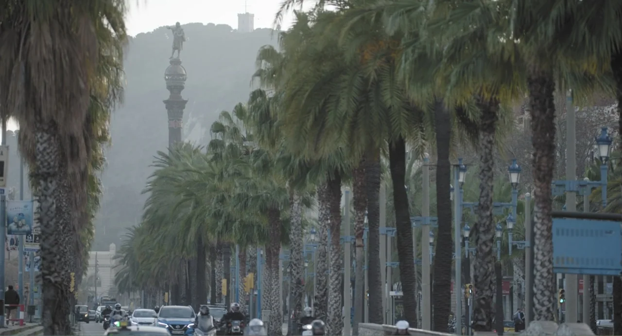 Los días azules (2025) movie still: wide — A wide city promenade is lined with tall palm trees and modern lampposts. The Columbus Monument stands…