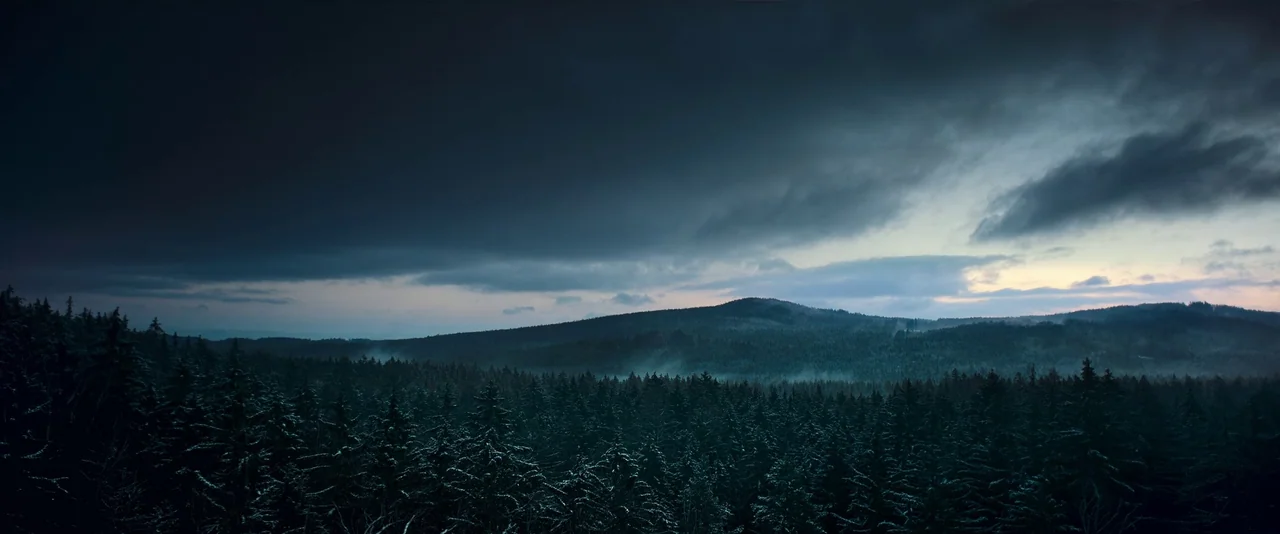 All Quiet on the Western Front (2022) movie still: establishing — A vast evergreen forest stretches across a valley under a heavy, dark cloud layer.…