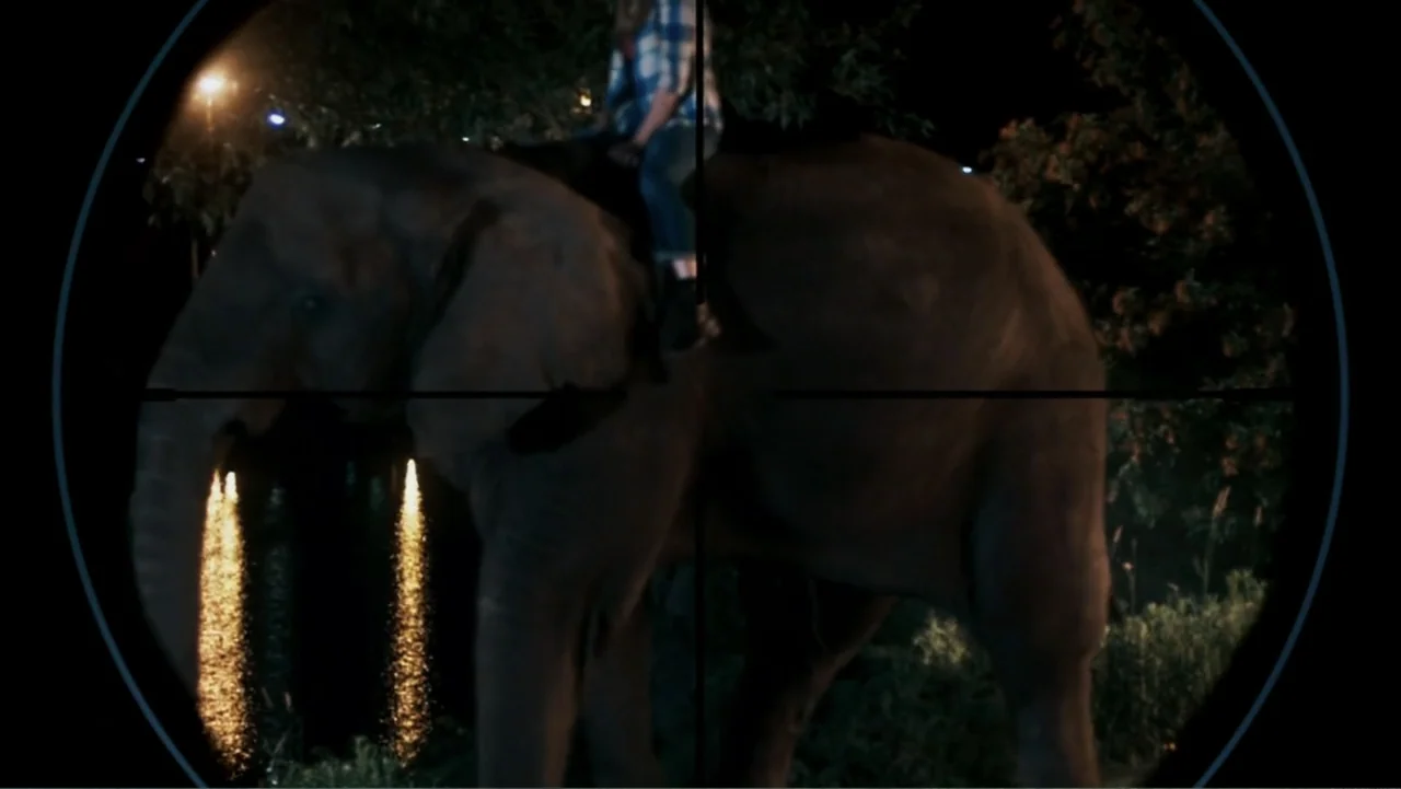 Sophie & Sheba (2010) movie still: medium — A night view through a sniper scope shows an elephant walking beside a river. A person sits on the…