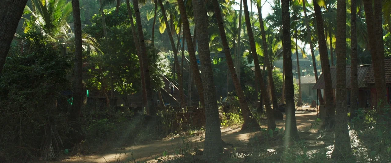 The Wedding Guest (2018) movie still: wide — A dense grove of coconut palms features a dirt path winding through tall trees. Small rustic buildings…