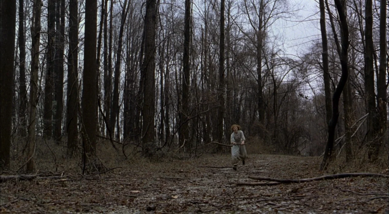 The Village (2004) movie still: wide — A dense forest path covered in brown leaf litter and scattered fallen branches. A young woman in a period…