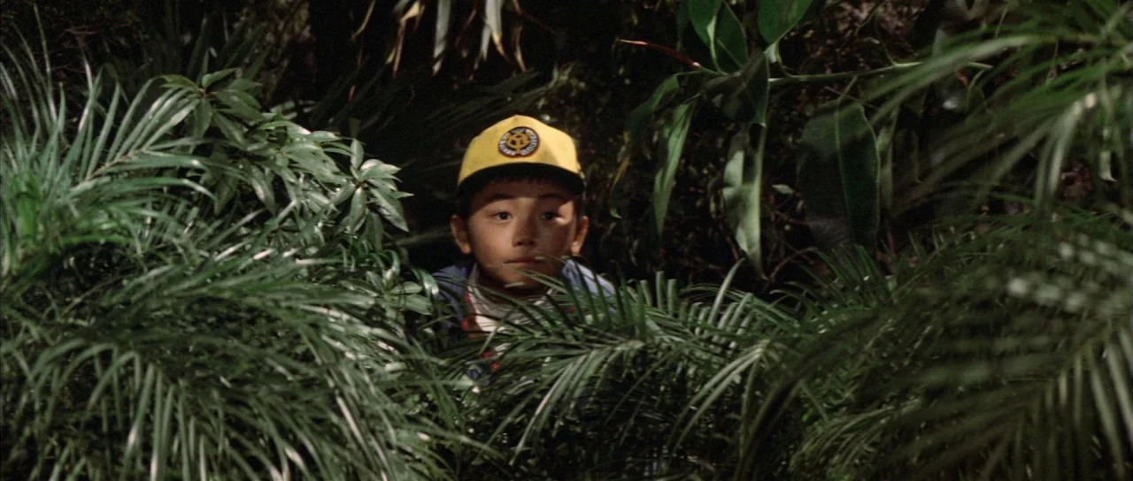 All Monsters Attack (1969) movie still: medium — A dense patch of tropical ferns and palm leaves fills the entire frame. A young boy wearing a…