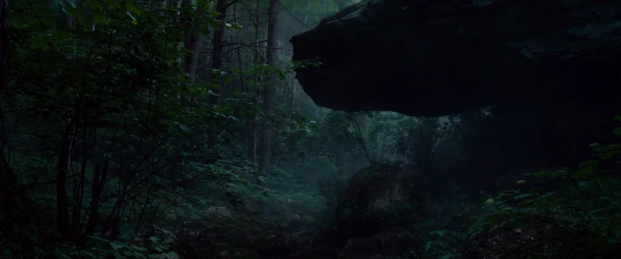 The Hunger Games (2012) movie still: establishing — A dense, dark woodland area features a large overhanging rock ledge and thick foliage. Thin…