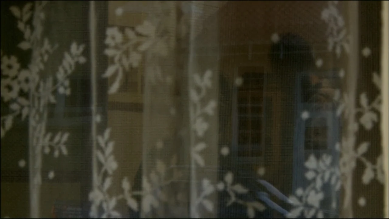 12th & Delaware (2010) movie still: closeup — A close-up view shows a sheer white curtain with floral embroidery patterns against a window. The…