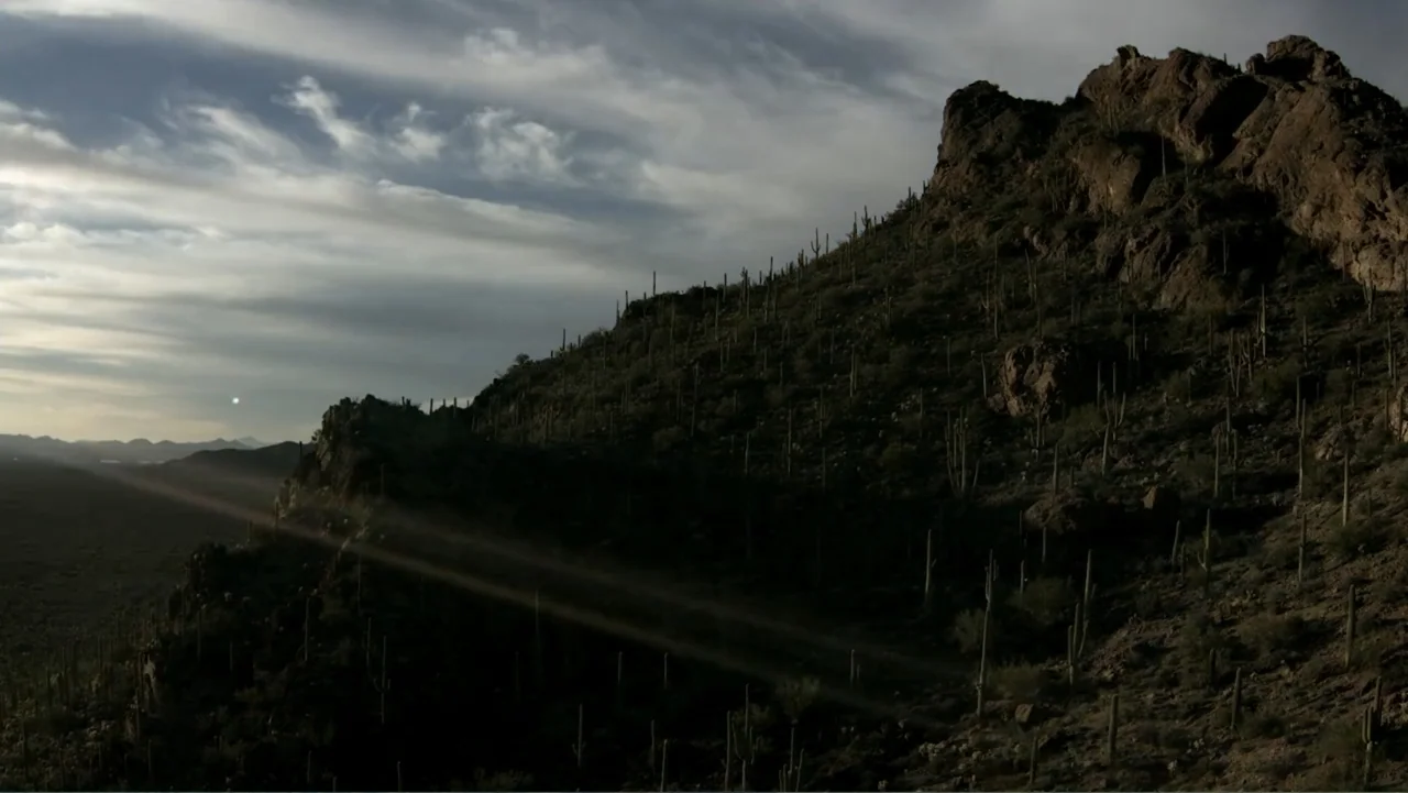Loco Love (2003) movie still: establishing — A craggy, steep mountainside is densely populated with tall saguaro cacti. The landscape stretches into…