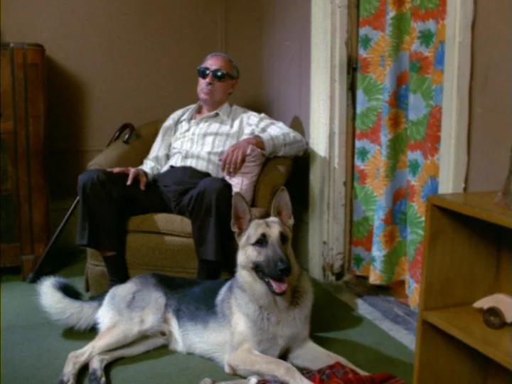Tenement (1985) movie still: medium — A room with brown walls and a floral patterned curtain covering a doorway. An elderly man in sunglasses sits…