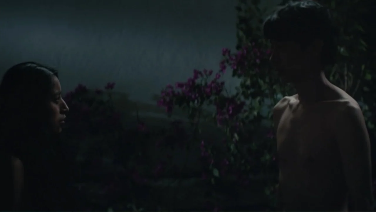 Bel Canto (2018) movie still: medium — An outdoor courtyard at night features a dark wall and purple flowering plants behind them. A woman and a…
