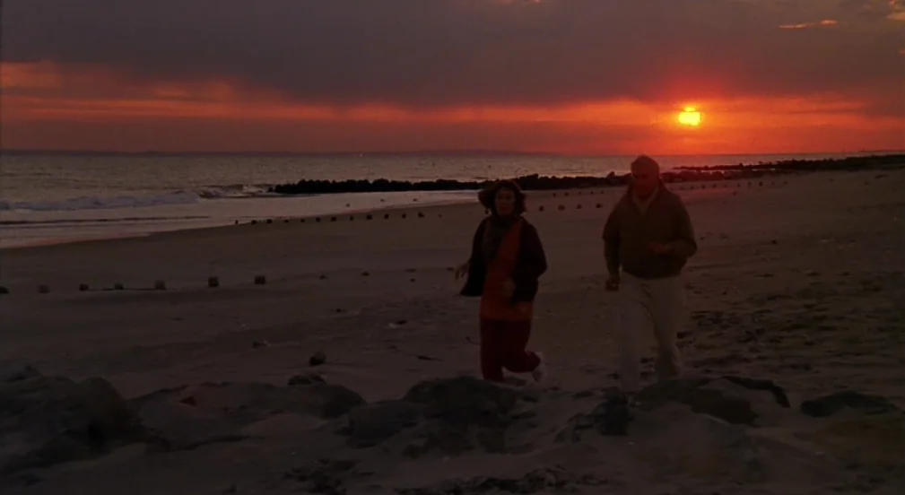 Crimes and Misdemeanors (1989) movie still: wide — A wide beach at sunset features dark sand and waves breaking on the horizon. An older man and…