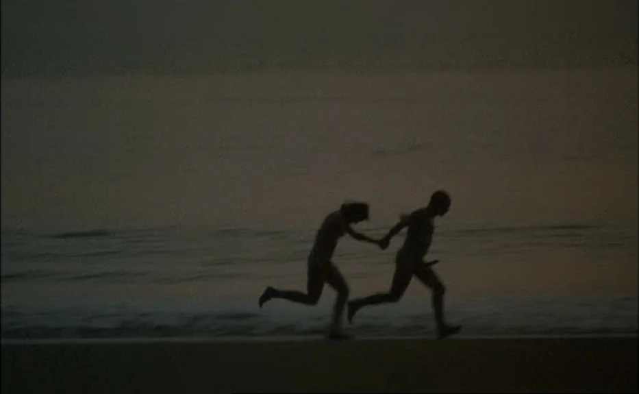 Les Amants Du Pont Neuf (The Lovers on the Bridge) (1991) movie still: wide — A dark coastline at dusk with a calm ocean meeting the wet sand. Two…