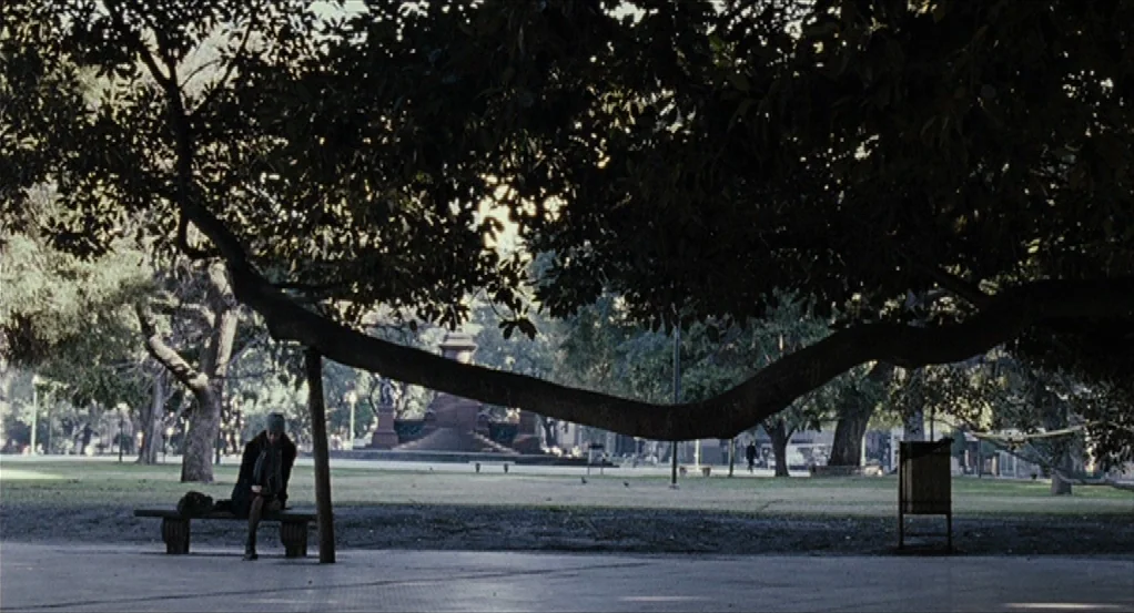 Sidewalls (2011) movie still: wide — A spacious urban park features a large sprawling tree with low-hanging horizontal branches. A lone woman sits…