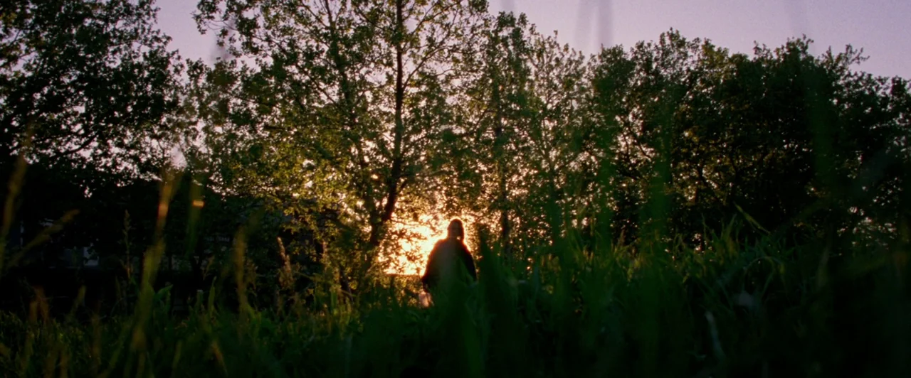 Lost River (2014) movie still: wide — A grassy field is framed by silhouettes of thick trees under a sunset sky. A single human figure stands in the…