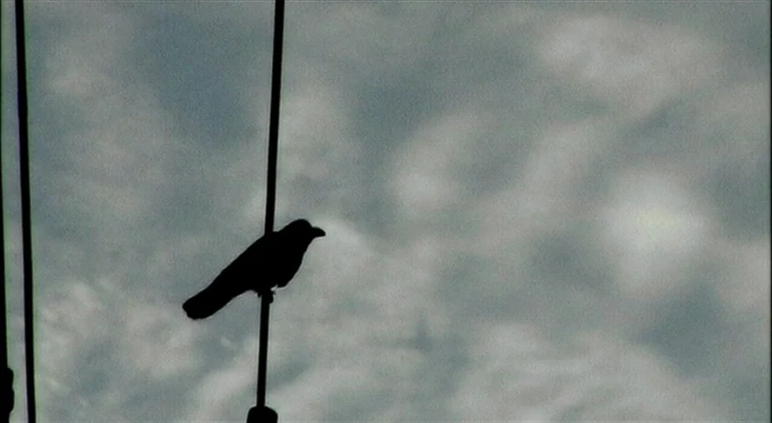 Rampo Noir (2005) movie still: closeup — A single black bird sits perched on a thin vertical wire against cloudy skies. The bird is rendered as a…
