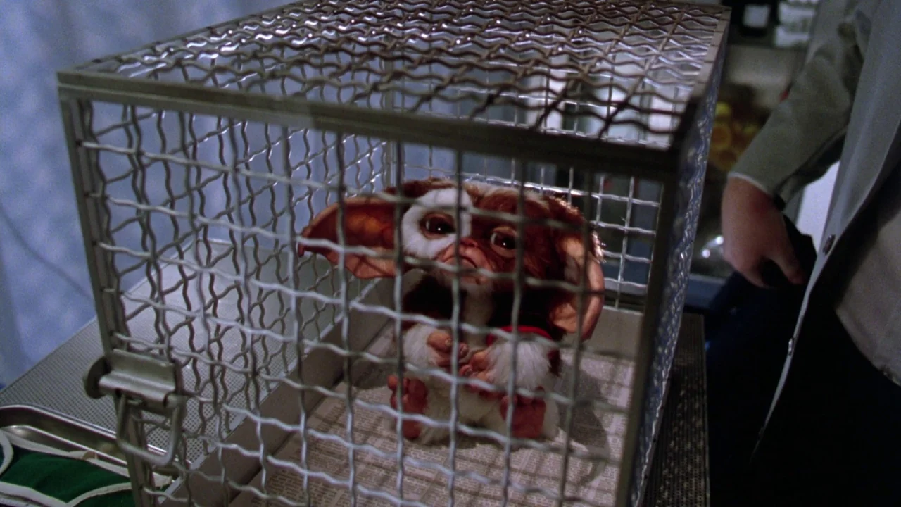 Gremlins 2: The New Batch movie still: medium — A furry creature sits inside a metal mesh cage placed on a metallic surface. The setting appears to…