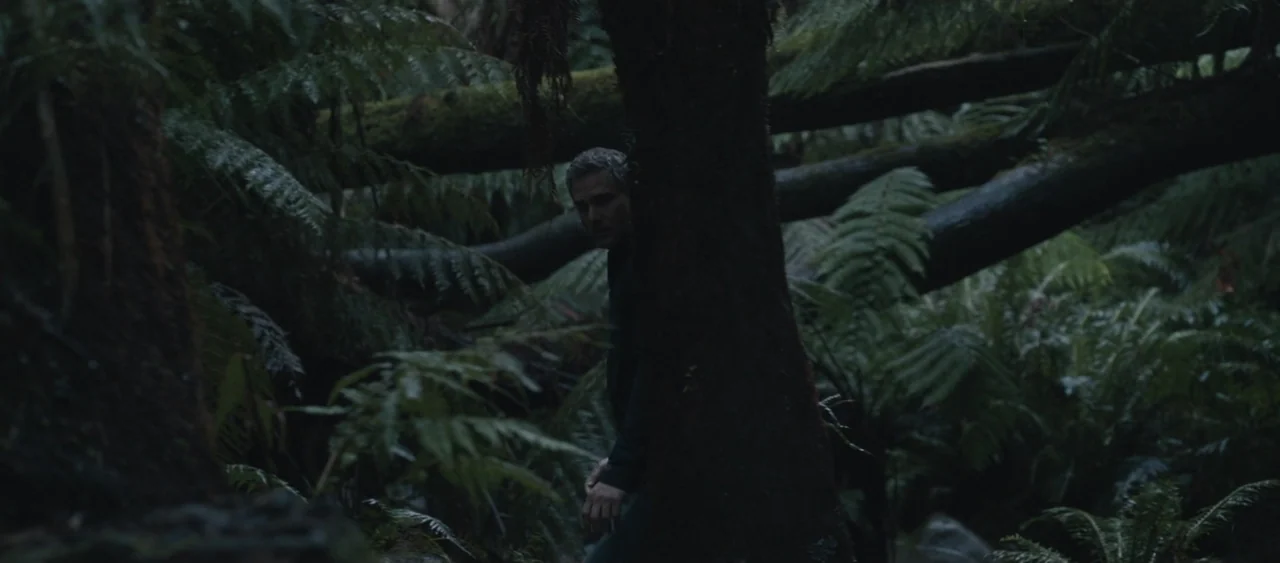Force of Nature: The Dry 2 (2024) movie still: medium — A dense temperate rainforest features thick tree trunks and lush ferns under low light. A…