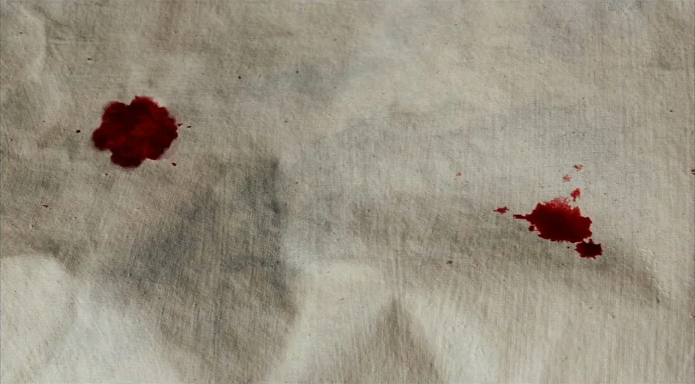 Frida (2002) movie still: closeup — A close-up view of a coarse, off-white linen or canvas fabric surface. Two distinct, dark crimson blood stains…
