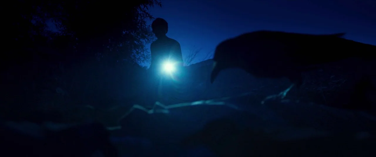 The Wailing (2016) movie still: wide — A dark outdoor area at night features dense shadows and distant silhouettes of trees. A lone figure stands…