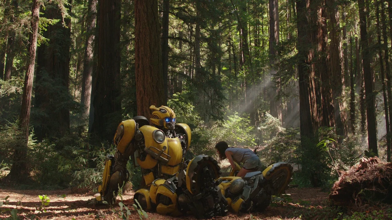 Bumblebee (2018) movie still: wide — A dense grove of towering redwood trees with filtered sunlight penetrating the thick foliage. A large yellow…