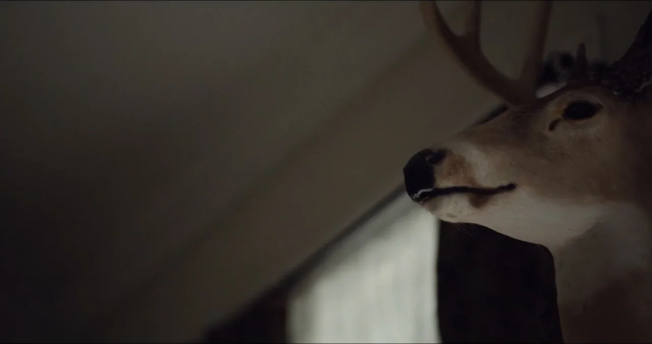 Eye for an Eye (2025) movie still: closeup — A taxidermy deer head is mounted on a dimly lit wall near a window. The animal head is angled toward…