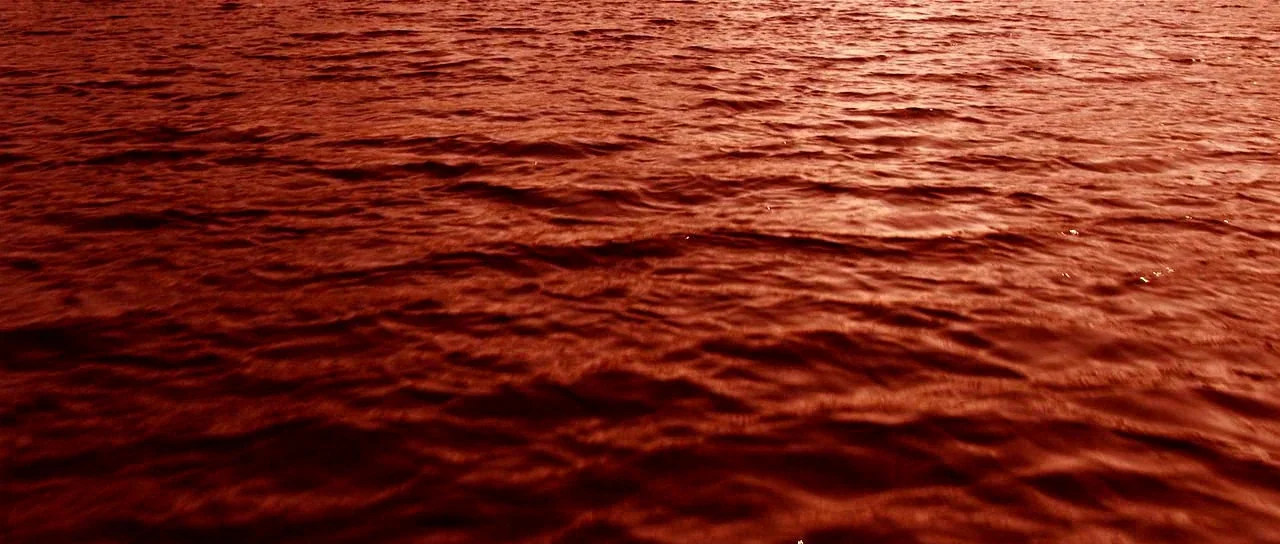Valhalla Rising (2009) movie still: establishing — A vast expanse of water ripples under a low sun. The surface reflects deep red and orange light…