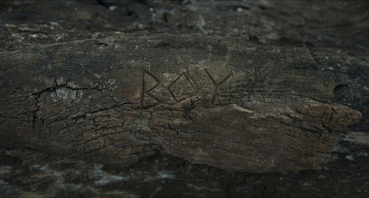 True History of the Kelly Gang (2019) movie still: closeup — A close-up view of weathered, dark-brown tree bark with deep, rough texture. The word…