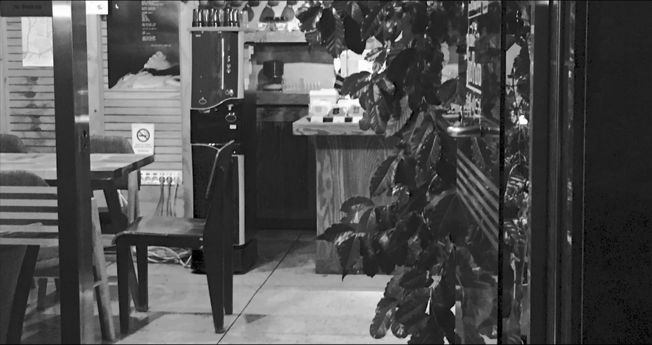 Grass (2018) movie still: medium — A dark, empty cafe interior features wooden tables and a single metal chair. A large leafy plant occupies the…