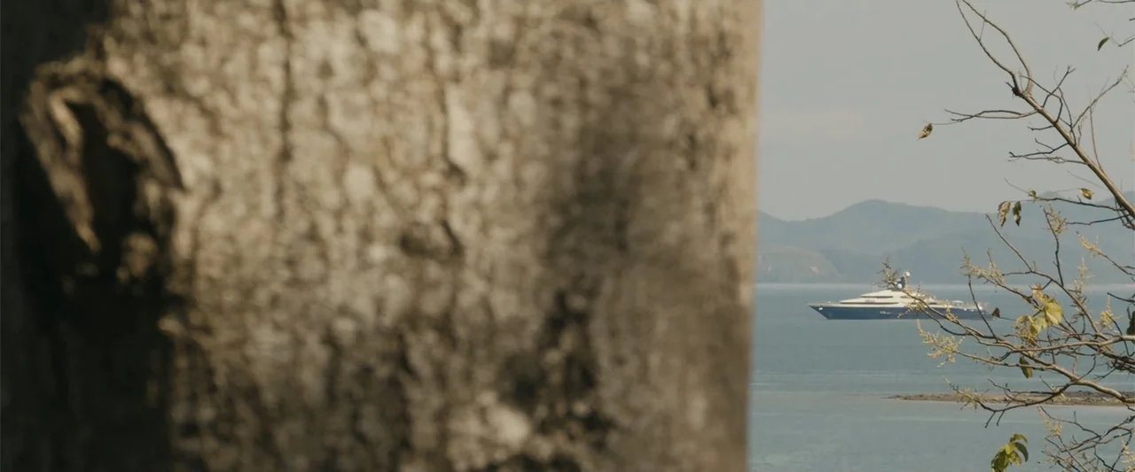 The Kleptocrats (2018) movie still: wide — A foreground tree trunk blocks most of the frame near the seaside. A large white and blue yacht floats on…