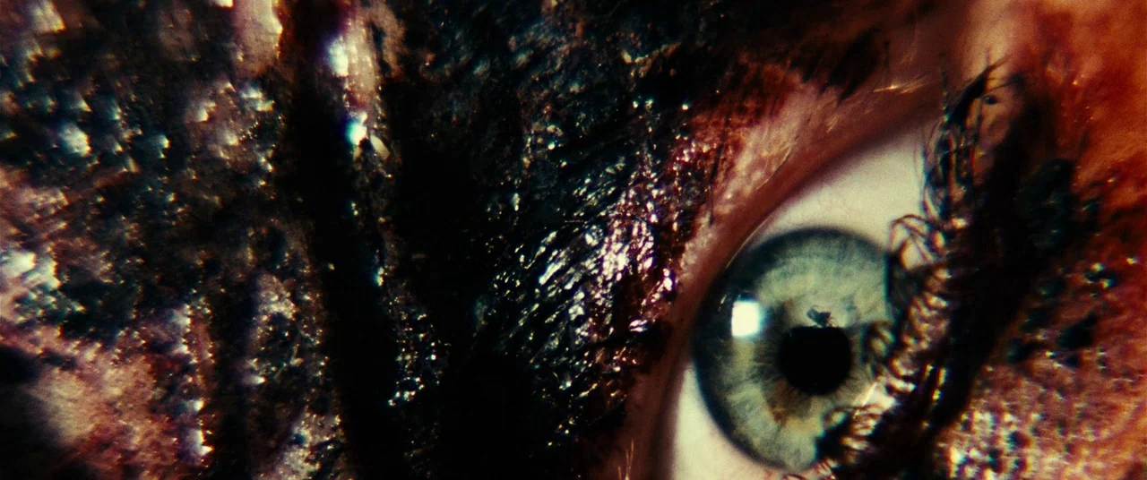 Resident Evil: Extinction (2007) movie still: closeup — An extreme close-up of a single human eye framed by textured, dark-coated skin. Clumped dark…