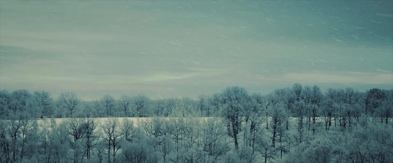 Tell Me How I Die (2016) movie still: establishing — A snowy field is bordered by a line of frost-covered leafless trees. Light snow falls over the…