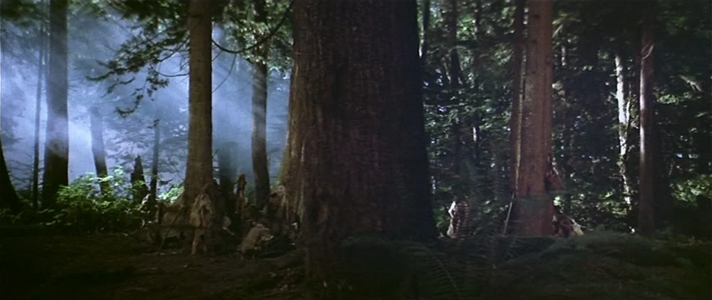 Clan of the Cave Bear (1986) movie still: wide — A dense woodland area features towering coniferous trees and thick, low-lying morning mist.…