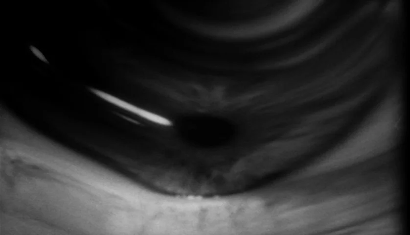 Seconds (1966) movie still: closeup — An extreme close-up view focuses on the anatomy of a human eye. The iris and pupil are illuminated against…