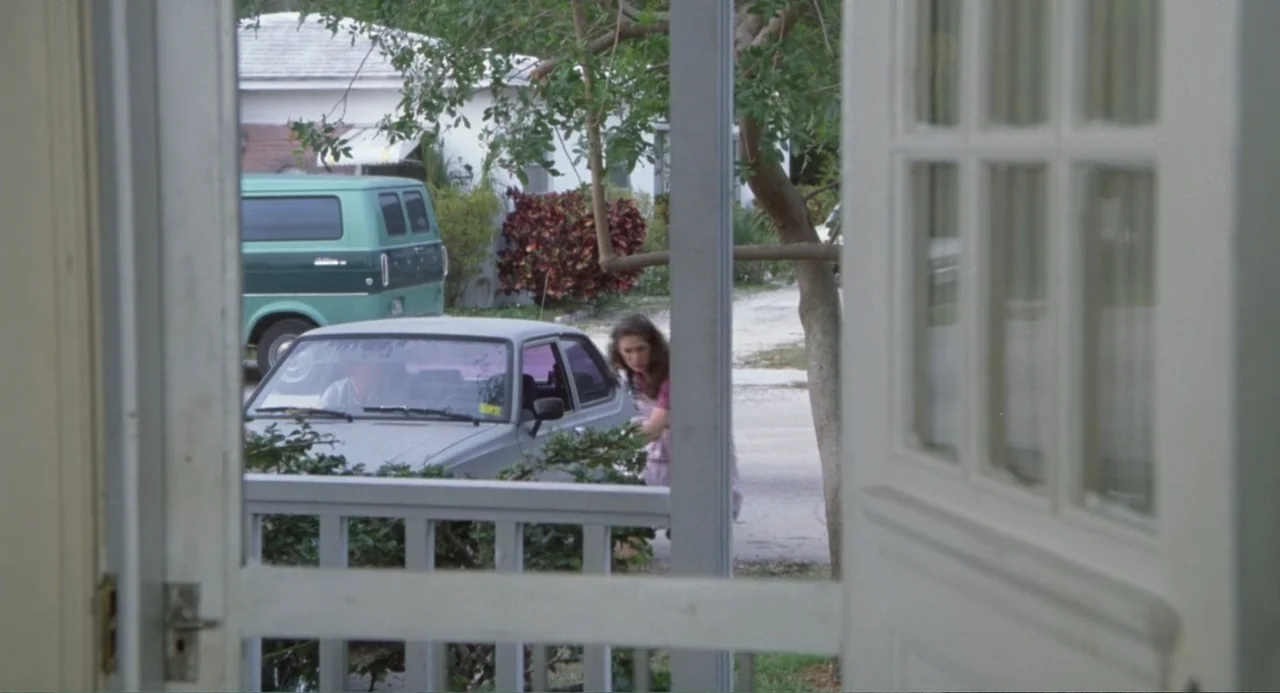 Harry and the Butler (1961) movie still: medium — A suburban street view seen through the white frame of a screen door. A woman stands by a grey car…