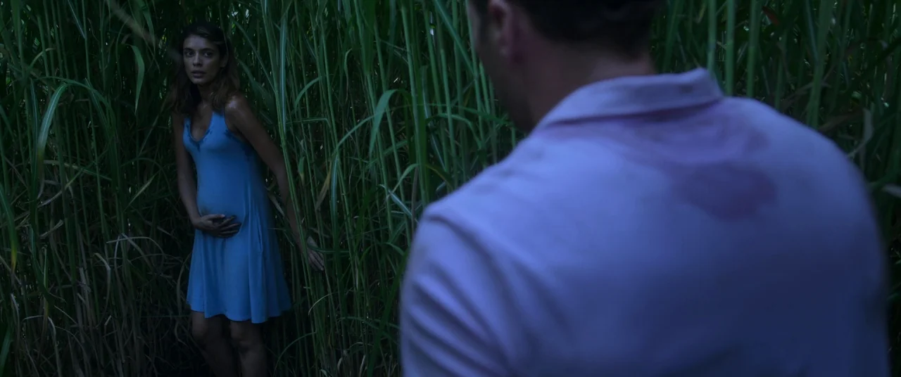 In The Tall Grass (2019) movie still: medium — Two individuals stand in a dense patch of tall grass at night. The man faces the pregnant woman who…