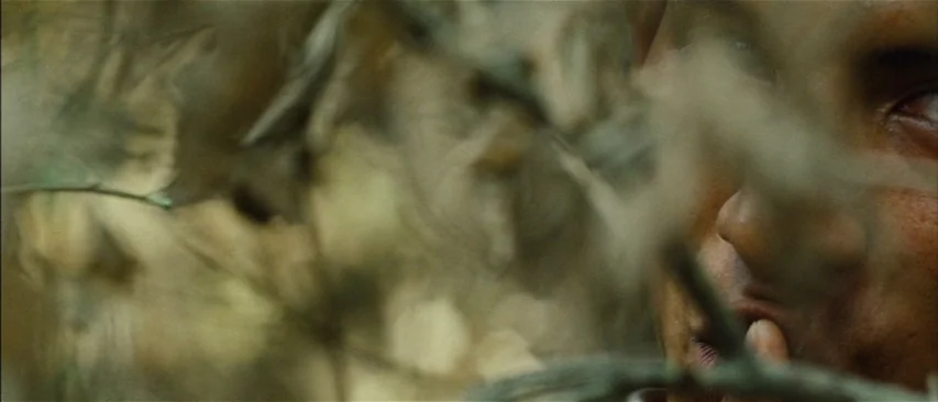The Headless Woman (2008) movie still: closeup — A dense forest environment with out-of-focus branches filling the foreground. A man's face is…